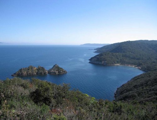 Visiter l’île de Port-Cros