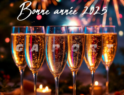 Bonne année 2025