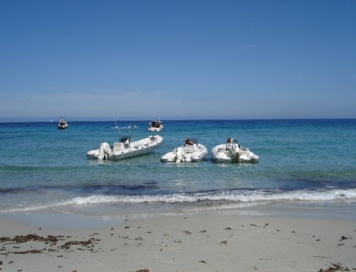 Découvrir Porquerolles en bateau